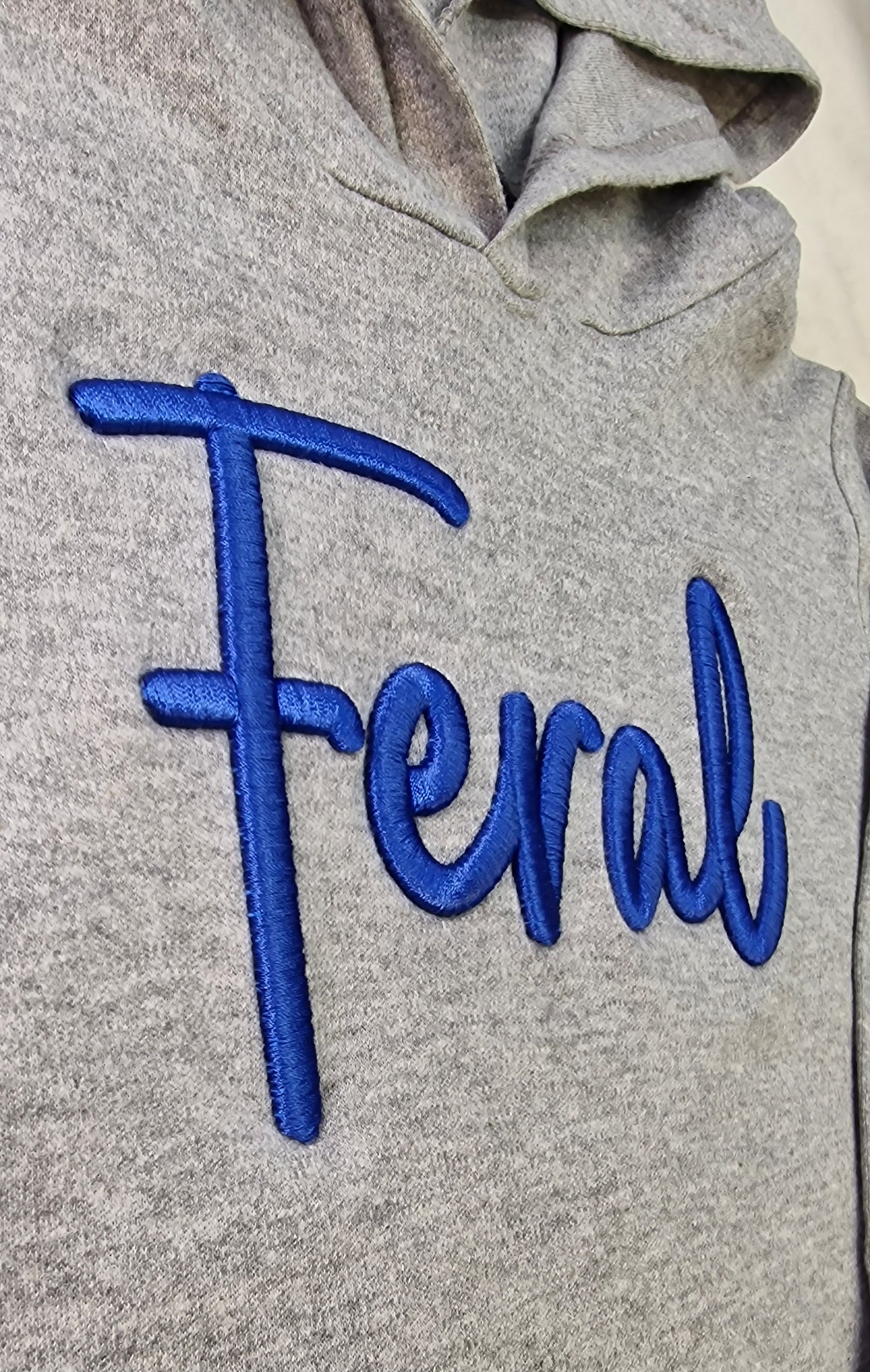3D Embroidered kids Feral long sleeve hooded t-shirt