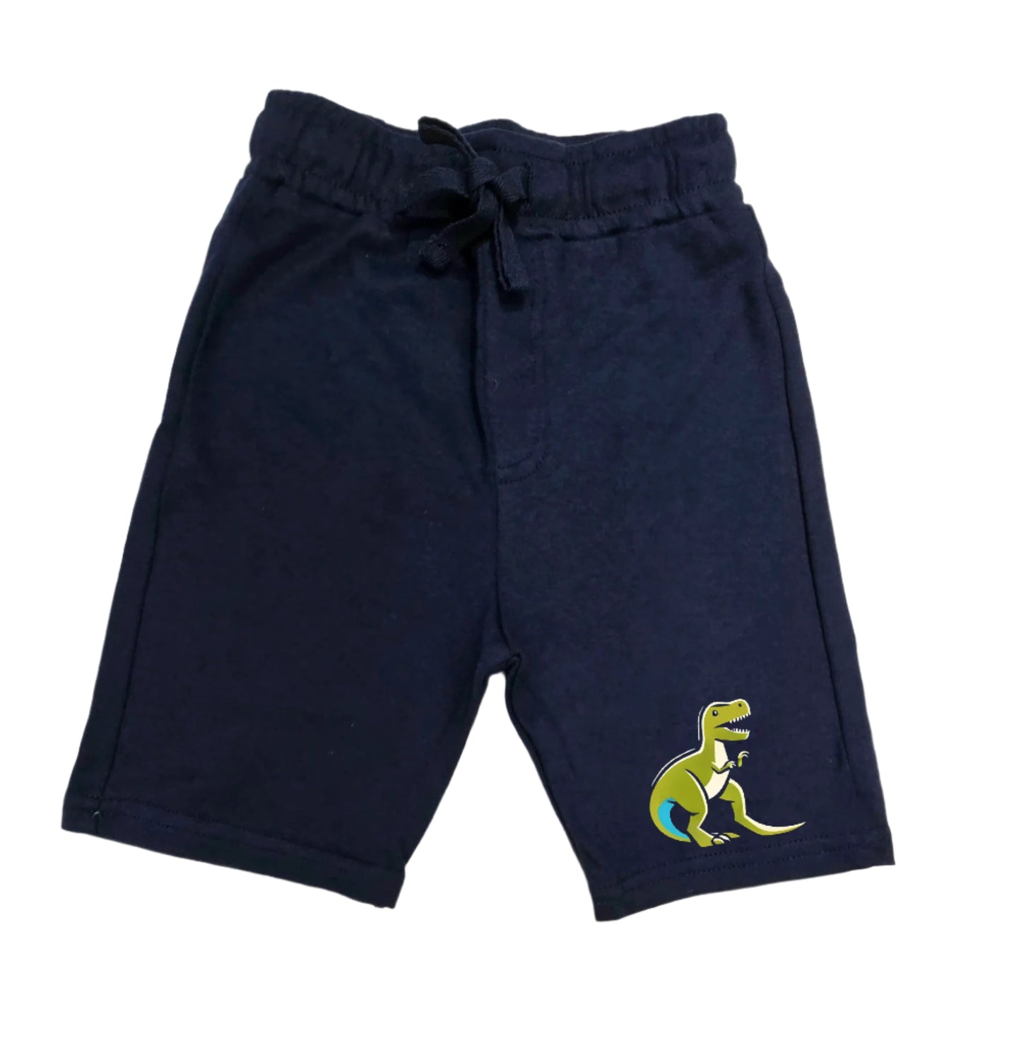Just a boy who loves dinosaurs shorts set